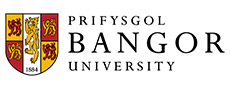 バンガー大学